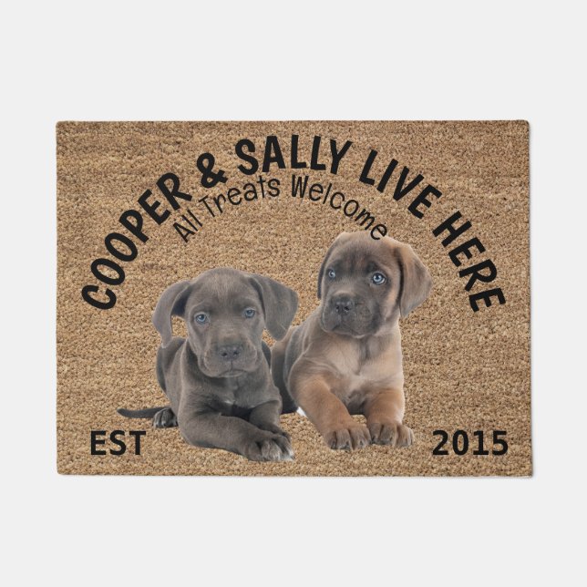 Two Cane Corso Personalized Dog Lover   Doormat (Front)
