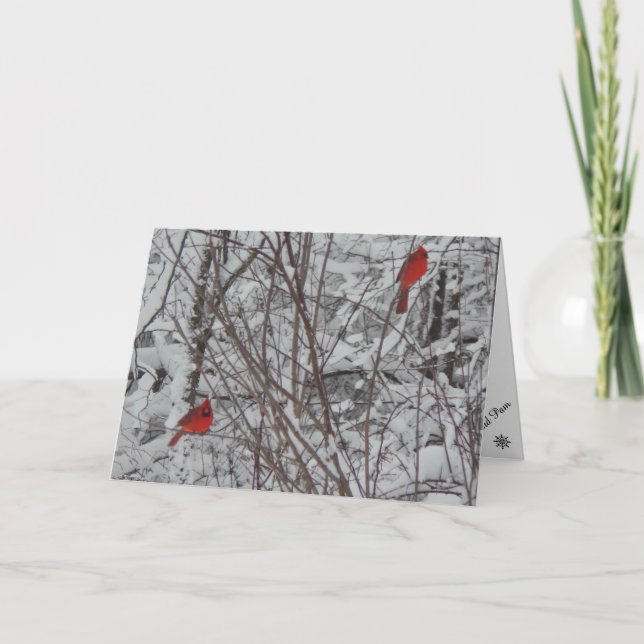 Two Cardinals 5x7 Christmas Card (Front)