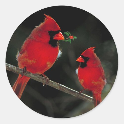 Two Cardinals Christmas Envelope Seals Stickers