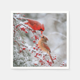Two Cardinals with Red Berries in Winter Napkins