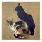 Two Cats, 1894