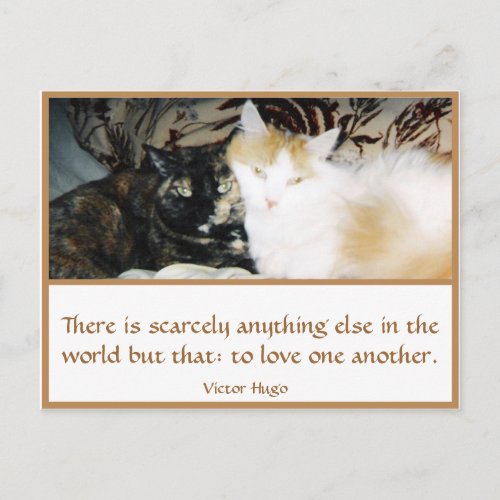 Two Cats Cheek to Cheek To Love One Another Postcard