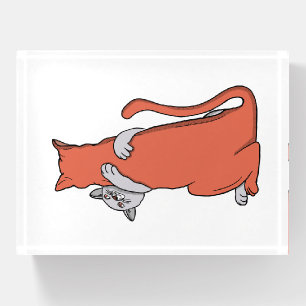 Two Cats Embrace Friendship Paperweight