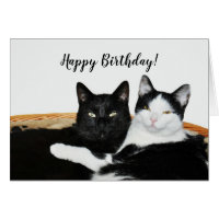 Two Cats in Love Card