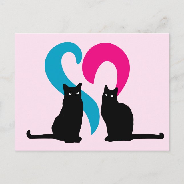Two cats in love postcard (Front)