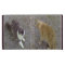 Two Cats