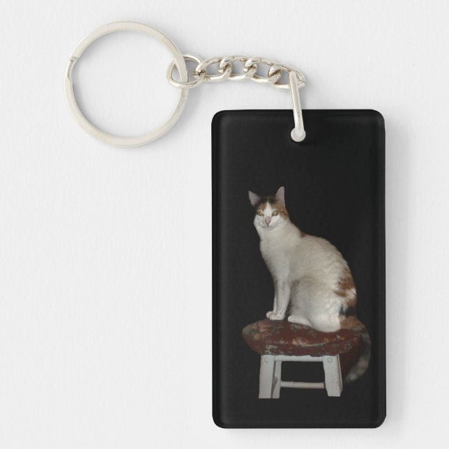 Two Cats Keychain (Front)