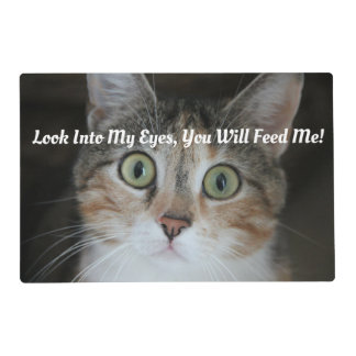 Two Cats Laminated Placemat