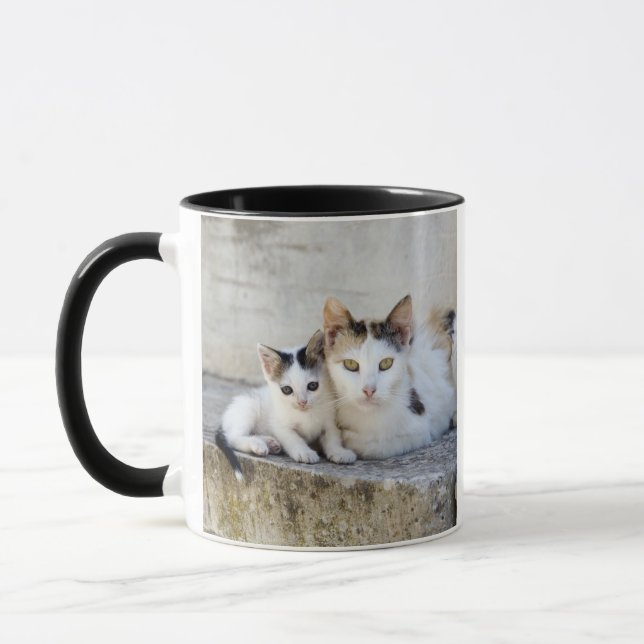 Two cats on stone steps mug (Left)