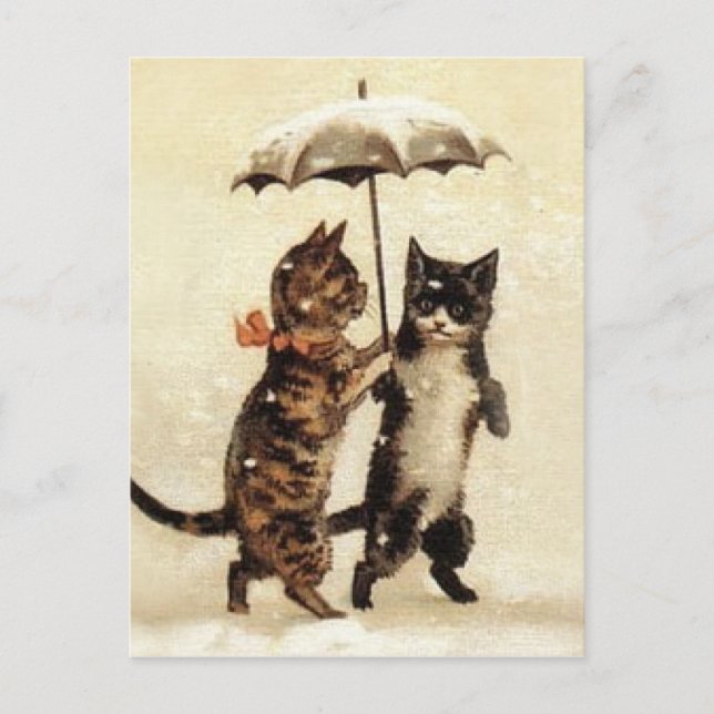Two Cats One Umbrella Postcard (Front)