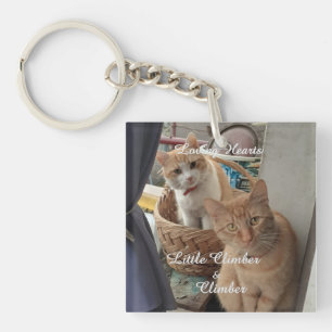 Two Cats , Replaceable Photo And Names, Keychain