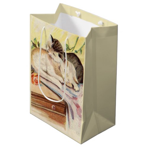 Two cats sleeping on a blanket together medium gift bag