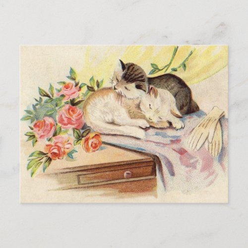 Two cats sleeping on a blanket together postcard