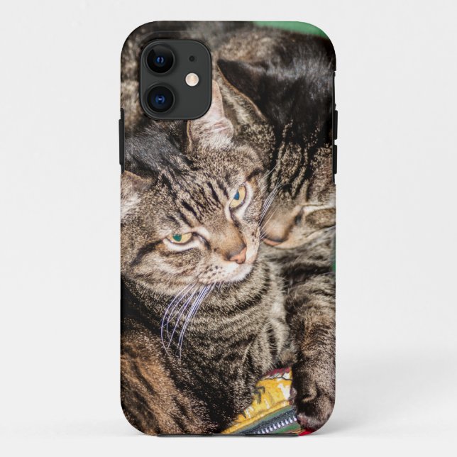 Two Cats Snuggling Case-Mate iPhone Case (Back)