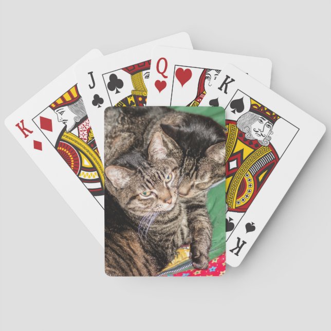 Two Cats Snuggling  Poker Cards (Back)