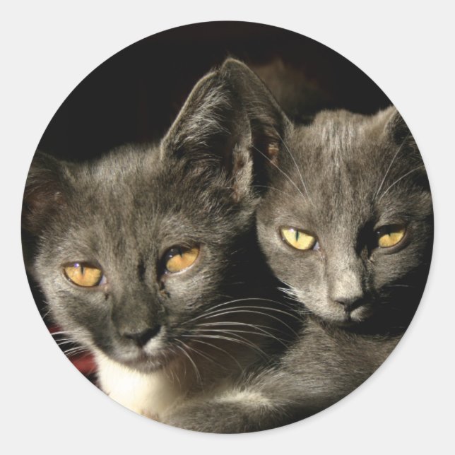 Two Cats Sticker (Front)
