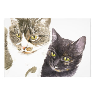 Two cats - tabby and tortie photo print