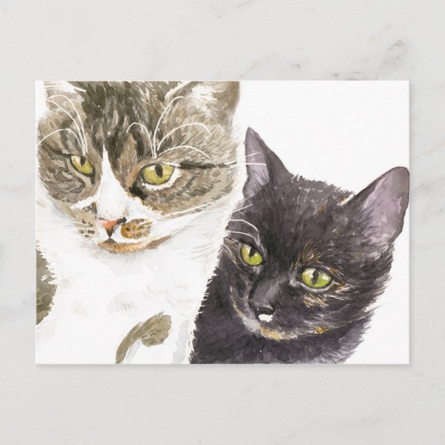 Two cats - tabby and tortie postcard (Front)