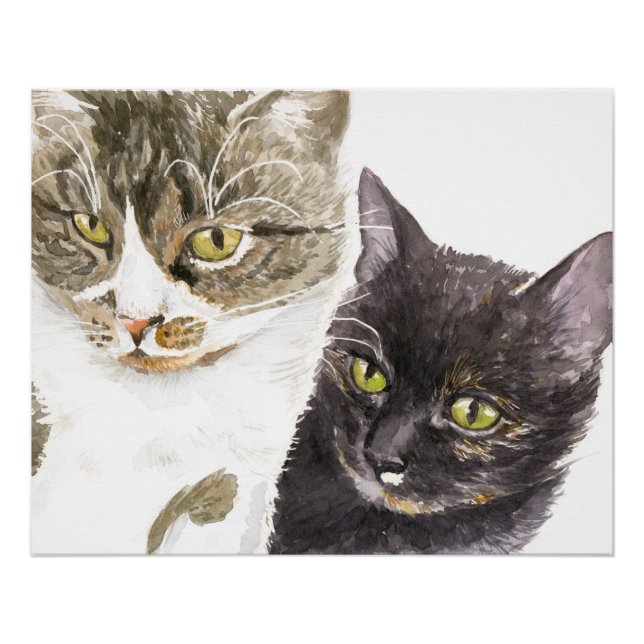 Two cats - tabby and tortie poster (Front)