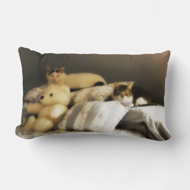 Two Cats with Stuffed Teddy Bear Lumbar Pillow (Front)