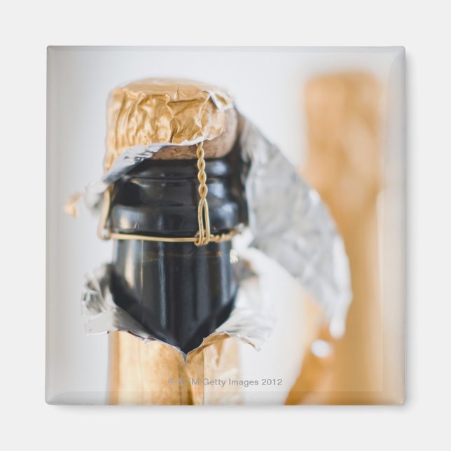 Two champagne bottles magnet (Front)