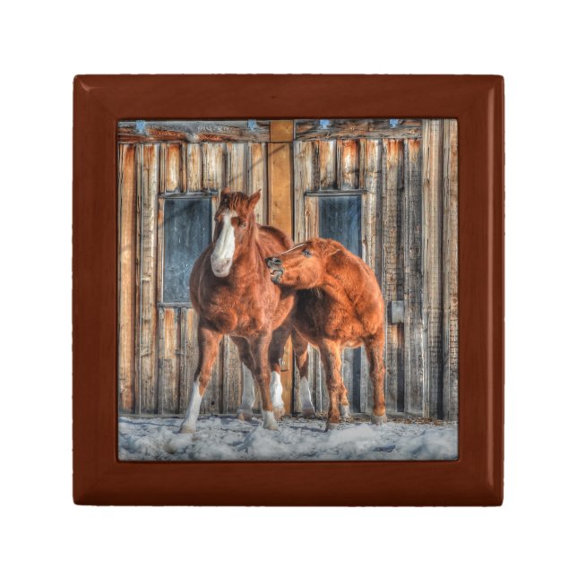 Two Cheeky Horses and a Barn Equine Photo Jewelry Box (Front)