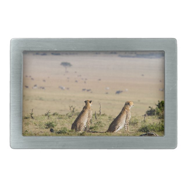 Two cheetahs on the look out belt buckle (Front)