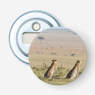 Two cheetahs on the look out bottle opener