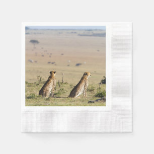 Two cheetahs on the look out napkins