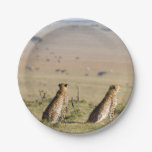 Two cheetahs on the look out paper plates