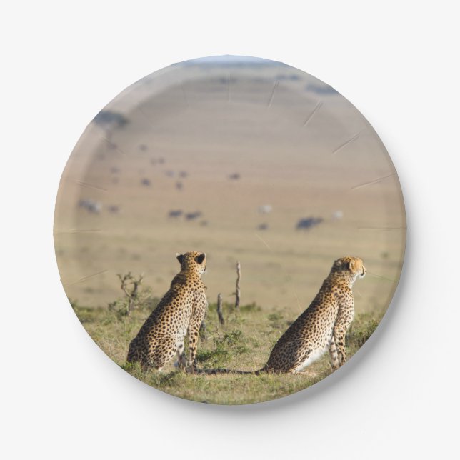 Two cheetahs on the look out paper plates (Front)