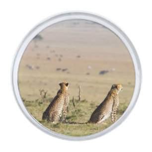 Two cheetahs on the look out silver finish lapel pin