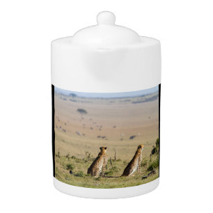 Two cheetahs on the look out teapot