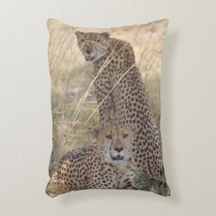 Two Cheetahs Pillow
