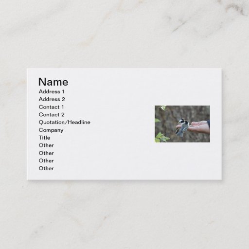 Customizable Two Chickadees on a Hand Business Cards