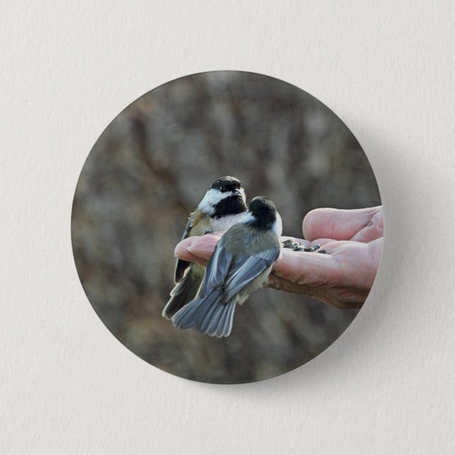 Two Chickadees on a Hand Pinback Button (Front)