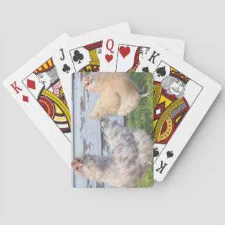 Two Chickens Poker Cards – Cute Farm Animal Play