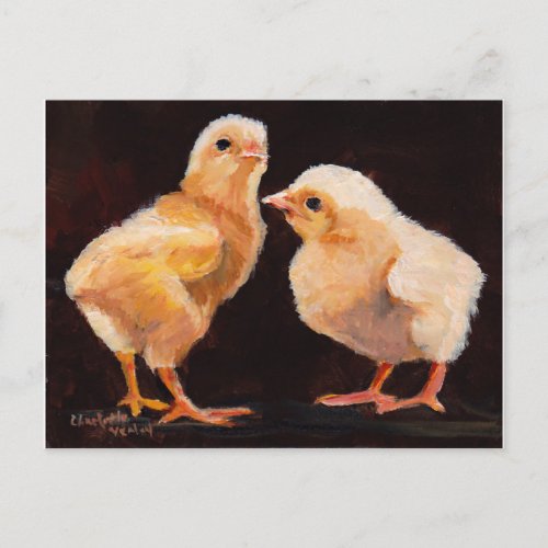 Two Chicks Bird Art Postcard