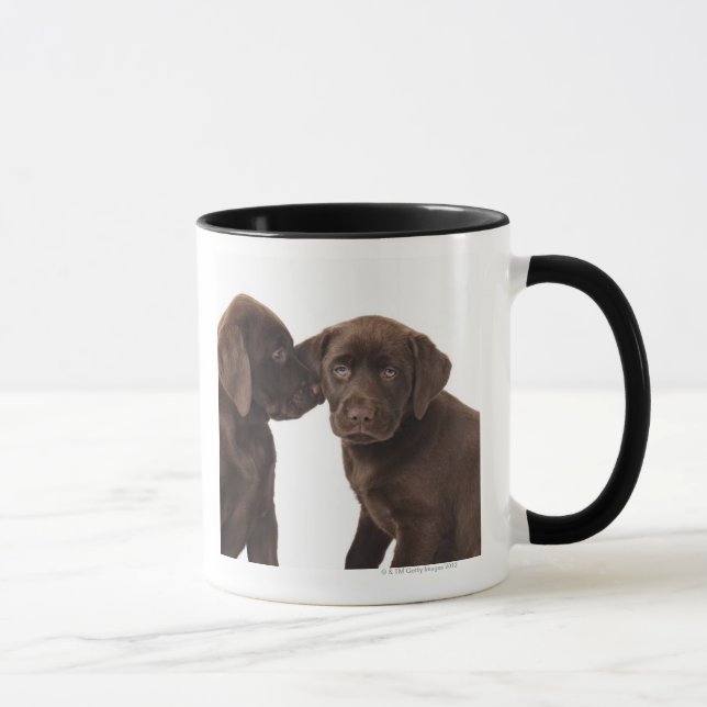 Two chocolate Labrador Retriever Puppies Mug (Right)