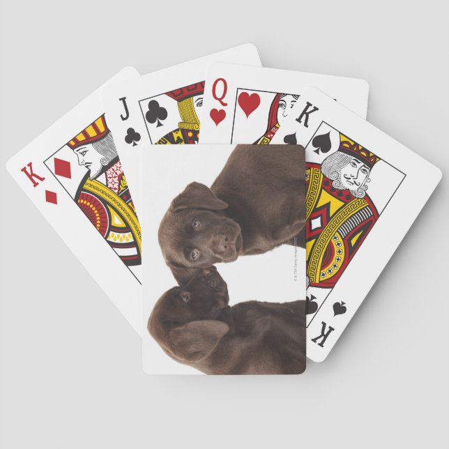 Two chocolate Labrador Retriever Puppies Poker Cards (Back)