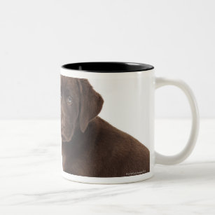 Two chocolate Labrador Retriever Puppies Two-Tone Coffee Mug