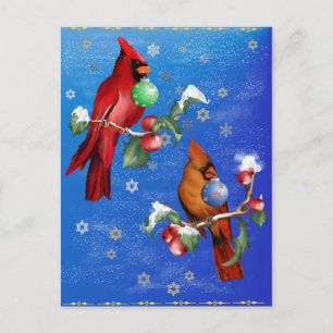 Two Christmas Birds Postcard