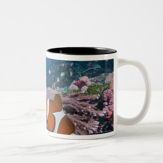 Two Clownfish Two-Tone Coffee Mug (Right)