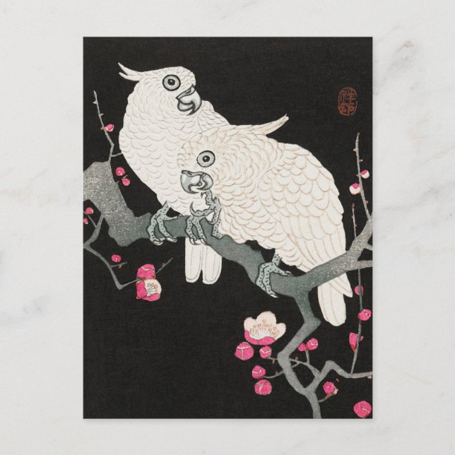 Two Cockatoo and Plum Blossom by Ohara Koson Postcard (Front)