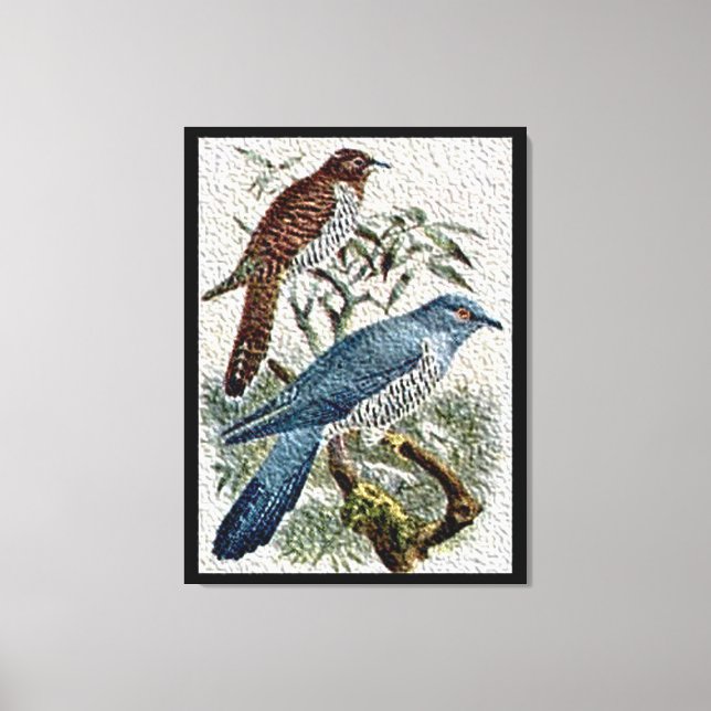 Two Colored Cuckoo Birds in Textured Canvas Print (Front)