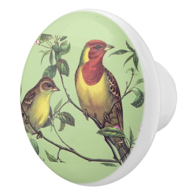 Two Colorful Birds Ceramic Knob (Right)