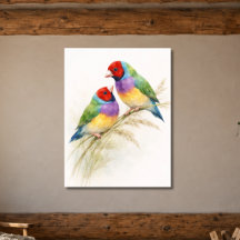 Two Colorful Gouldian Finch Birds