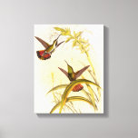 Two Colorful Hummingbirds Aiming for Same Flower Canvas Print