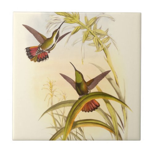 Two Colorful Hummingbirds Aiming for Same Flower Ceramic Tile