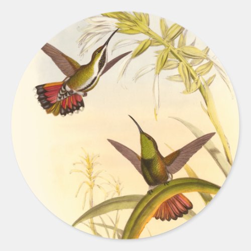 Two Colorful Hummingbirds Aiming for Same Flower Classic Round Sticker